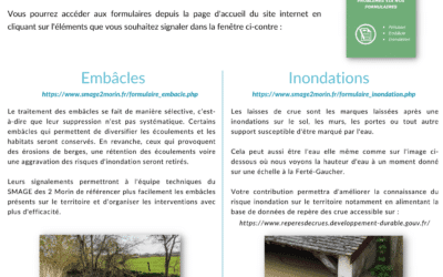 FORMULAIRE EN LIGNE