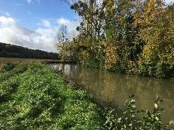 Crédit SMAGE 2 Morin – Mouroux – Grand Morin – 2019-250w