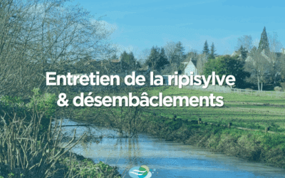 Entretien de la rivière