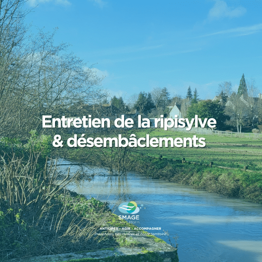 Entretien de la rivière
