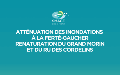 Opération 5 Atténuation des inondations à la Ferté-Gaucher