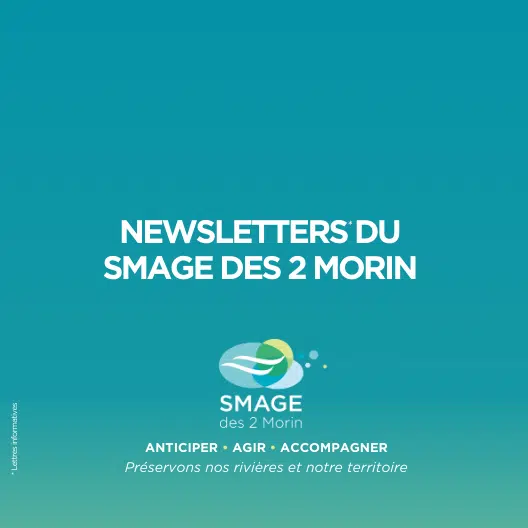 Lancement de nos newsletters – Lettres informatives