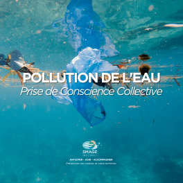 Pollution : Défi et Prise de Conscience Collective