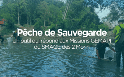 La Pêche de Sauvegarde : Un outil qui répond aux Missions GEMAPI du SMAGE des 2 Morin