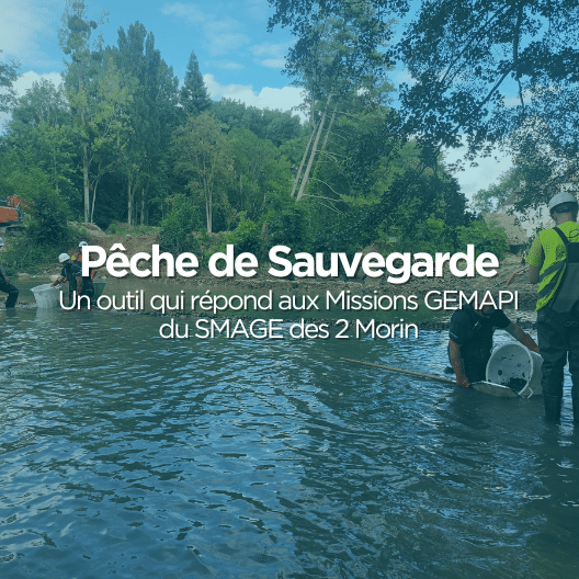 La Pêche de Sauvegarde : Un outil qui répond aux Missions GEMAPI du SMAGE des 2 Morin