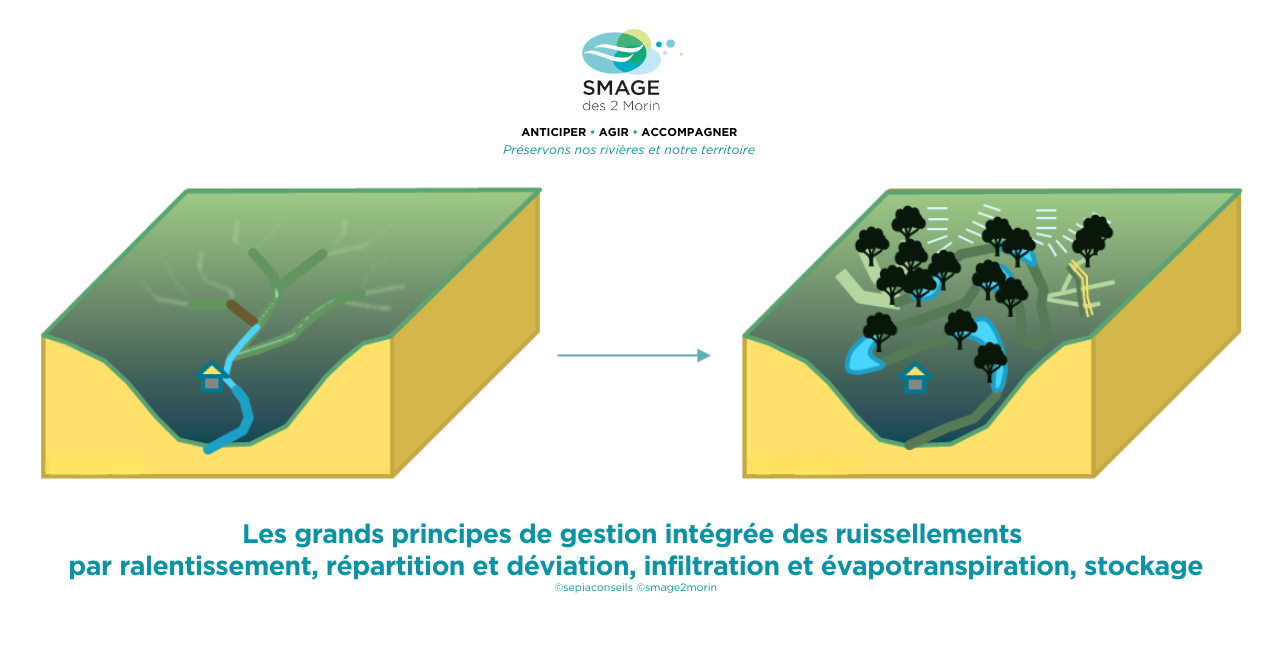  L'hydraulique douce est une approche innovante qui vise à gérer les flux d'eau de manière respectueuse de l'environnement, en utilisant des techniques naturelles et des matériaux écologiques. Contrairement aux méthodes traditionnelles d'ingénierie hydraulique, qui peuvent souvent avoir des impacts négatifs sur les écosystèmes, l'hydraulique douce cherche à travailler en harmonie avec la nature pour minimiser ces impacts et réduire les risques d'inondation. Qu'est-ce que l'hydraulique Douce ? L'hydraulique douce repose sur plusieurs principes de base. Tout d'abord, elle utilise des techniques qui imitent les processus naturels pour gérer les flux d'eau. Cela peut inclure l'utilisation de bassins de rétention, de zones tampons végétalisées, et la restauration de zones humides. Ces techniques permettent de ralentir le flux de l'eau, de réduire l'érosion des sols, et d'améliorer la qualité de l'eau grâce à des processus de filtration naturels. En ralentissant l'eau et en favorisant son infiltration dans le sol, l'hydraulique douce peut également réduire les risques d'inondation en aval. En comparaison avec les méthodes traditionnelles d'ingénierie hydraulique, qui peuvent souvent impliquer l'utilisation de matériaux synthétiques et de structures rigides, l'hydraulique douce privilégie l'utilisation de matériaux naturels et de structures flexibles. Cela permet non seulement de réduire l'impact environnemental, mais aussi de créer des infrastructures plus durables et plus résilientes face aux événements climatiques extrêmes. Les Avantages de l'Hydraulique Douce L'un des principaux avantages de l'hydraulique douce est sa capacité à réduire l'érosion des sols. En ralentissant le flux de l'eau et en utilisant des techniques de gestion des eaux de ruissellement, l'hydraulique douce peut aider à prévenir la perte de sols fertiles et à protéger les écosystèmes aquatiques. Un autre avantage important est l'amélioration de la biodiversité. En créant des habitats naturels et en restaurant les zones humides, l'hydraulique douce peut fournir un refuge pour une grande variété d'espèces animales et végétales. Cela peut contribuer à renforcer la résilience des écosystèmes et à améliorer la qualité de l'eau. L'hydraulique douce joue également un rôle crucial dans la réduction des risques d'inondation. En favorisant l'infiltration de l'eau dans le sol et en réduisant les ruissellements, elle peut atténuer les pics de crue et protéger les zones en aval contre les inondations. Enfin, l'hydraulique douce peut également offrir des avantages économiques. Les infrastructures d'hydraulique douce sont souvent plus durables et nécessitent moins d'entretien à long terme. Cela peut se traduire par des économies significatives sur le long terme. Techniques et Applications Il existe une grande variété de techniques d'hydraulique douce qui peuvent être utilisées dans différents contextes. Par exemple, les bassins de rétention peuvent être utilisés pour collecter et stocker l'eau de pluie, ce qui peut aider à réduire les risques d'inondation et à fournir une source d'eau pour l'irrigation. Les zones tampons végétalisées, quant à elles, peuvent être utilisées pour filtrer les polluants et les sédiments de l'eau de ruissellement avant qu'elle n'atteigne les cours d'eau. Cela peut aider à améliorer la qualité de l'eau et à protéger les écosystèmes aquatiques. La restauration de zones humides est une autre technique importante de l'hydraulique douce. Les zones humides jouent un rôle crucial dans la régulation des flux d'eau, la filtration des polluants, et la fourniture d'habitats pour la faune et la flore. En restaurant ces zones, il est possible de renforcer la résilience des écosystèmes, d'améliorer la qualité de l'eau et de réduire les risques d'inondation. Défis  Parmi les défis à relever, la sensibilisation et l'éducation sont essentielles. Pour que l'hydraulique douce soit largement adoptée, il est crucial d'informer les décideurs, les professionnels de l'eau et le grand public sur ses avantages. Cela nécessite des efforts de communication et de formation. La sensibilisation peut se faire à travers des campagnes médiatiques, des ateliers et des programmes éducatifs pour montrer l'importance de la gestion durable de l'eau. L'éducation et la formation sont également importantes pour les professionnels afin qu'ils puissent mettre en œuvre efficacement les techniques d'hydraulique douce. Les institutions éducatives peuvent intégrer des cours sur ce sujet, et des formations continues peuvent être organisées pour les professionnels en activité. La collaboration entre gouvernements, organisations non gouvernementales, institutions éducatives et entreprises privées est essentielle pour développer ces programmes. En informant et en formant les différents acteurs, on peut créer un environnement favorable à l'adoption de l'hydraulique douce. Conclusion En conclusion, l'hydraulique douce représente une solution innovante et prometteuse pour une gestion durable de l'eau et la réduction des risques d'inondation. En utilisant des techniques naturelles et des matériaux écologiques, elle permet de réduire l'impact environnemental, d'améliorer la biodiversité, et de créer des infrastructures plus durables et plus résilientes face aux événements climatiques extrêmes. Cependant, pour que l'hydraulique douce puisse atteindre son plein potentiel, il est essentiel de relever les défis techniques, financiers, et éducatifs qui se posent. Cela nécessitera des efforts concertés de la part des décideurs, des professionnels de l'eau, et du grand public. En adoptant l'hydraulique douce, nous pouvons contribuer à créer un avenir plus durable et plus résilient, où les ressources en eau sont gérées de manière responsable et respectueuse de l'environnement, et où les risques d'inondation sont réduits. Ressources et Références AREAS - Ressources sur les aménagements d'hydraulique douce : AREAS propose des ressources détaillées sur les aménagements d'hydraulique douce, incluant des rapports, des plaquettes et des fiches techniques sur leurs atouts et leur efficacité. Syndicat Mixte du Bassin Versant de l'Arques - L'hydraulique douce : Ce site décrit les techniques d'hydraulique douce pour gérer les eaux pluviales en amont, favorisant leur infiltration lente et réduisant les ruissellements et l'érosion grâce à des aménagements comme les haies et les fascines. Régénérer les hydrosystèmes : Face à cette crise climatique et à l'effondrement de la biodiversité, de nouvelles approches émergent en France autour de l'hydrologie régénérative. Les rivières sont vivantes, ont une santé, et nous pouvons aider à les restaurer. Dans cette masterclass, le philosophe Baptiste Morizot et l'hydrologue Charlène Descollonges explorent ces idées à travers leurs travaux pour transformer notre vision de la restauration écologique des cours d'eau.