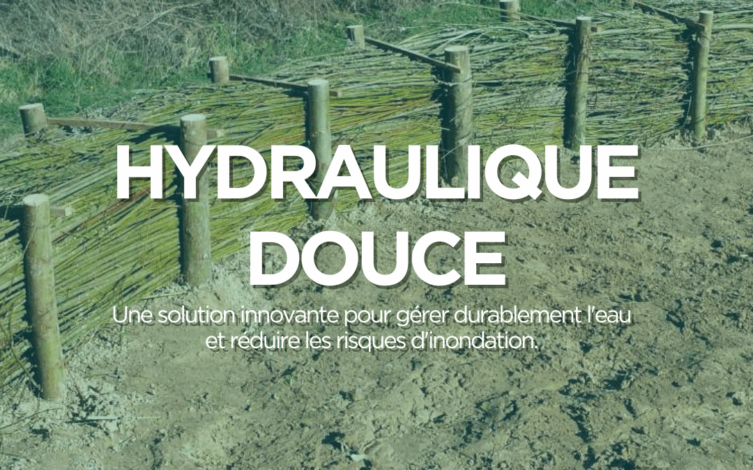 L’hydraulique douce, une solution innovante pour gérer durablement l’eau et réduire les risques d’inondation