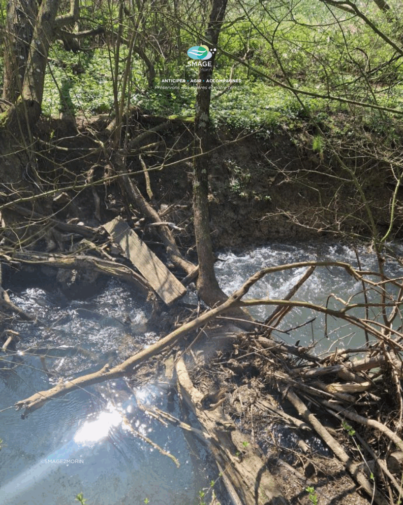 L’entretien des berges de l’Aubetin et du ru de Chevru est lancé 