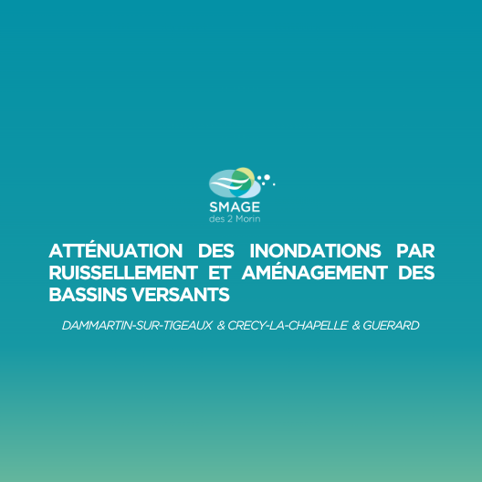OPÉRATION 7 : ATTÉNUATION DES INONDATIONS ET AMÉNAGEMENT DES BASSINS VERSANTS À DAMMARTIN-SUR-TIGEAUX ET SUR LE RU DE BICHE À CRECY-LA-CHAPELLE / GUERARD