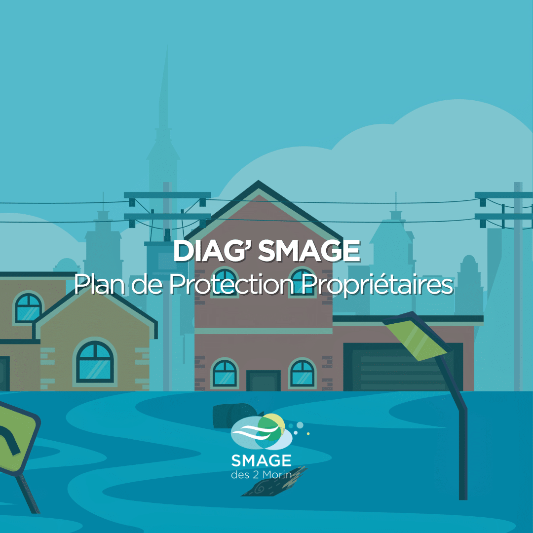 smage mayane