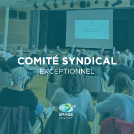 comité syndical exceptionnel