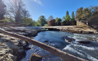 Sécurité Grand Morin – Arrêté préfectoral : interdiction de navigation Moulin Guillaume