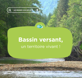 Bassin versant : Définition, enjeux et aménagements pour une gestion durable de l’eau