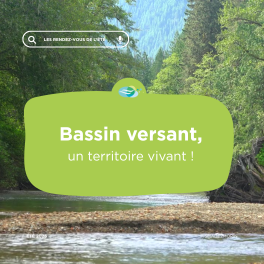 Bassin versant : Définition, enjeux et aménagements pour une gestion durable de l’eau